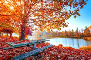 pasar otoño en Marbella portada